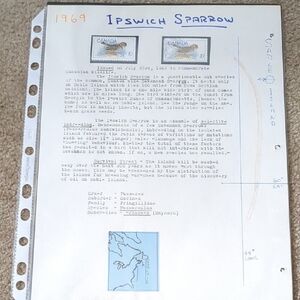 Ipswich Sparrow Home Design Stamp